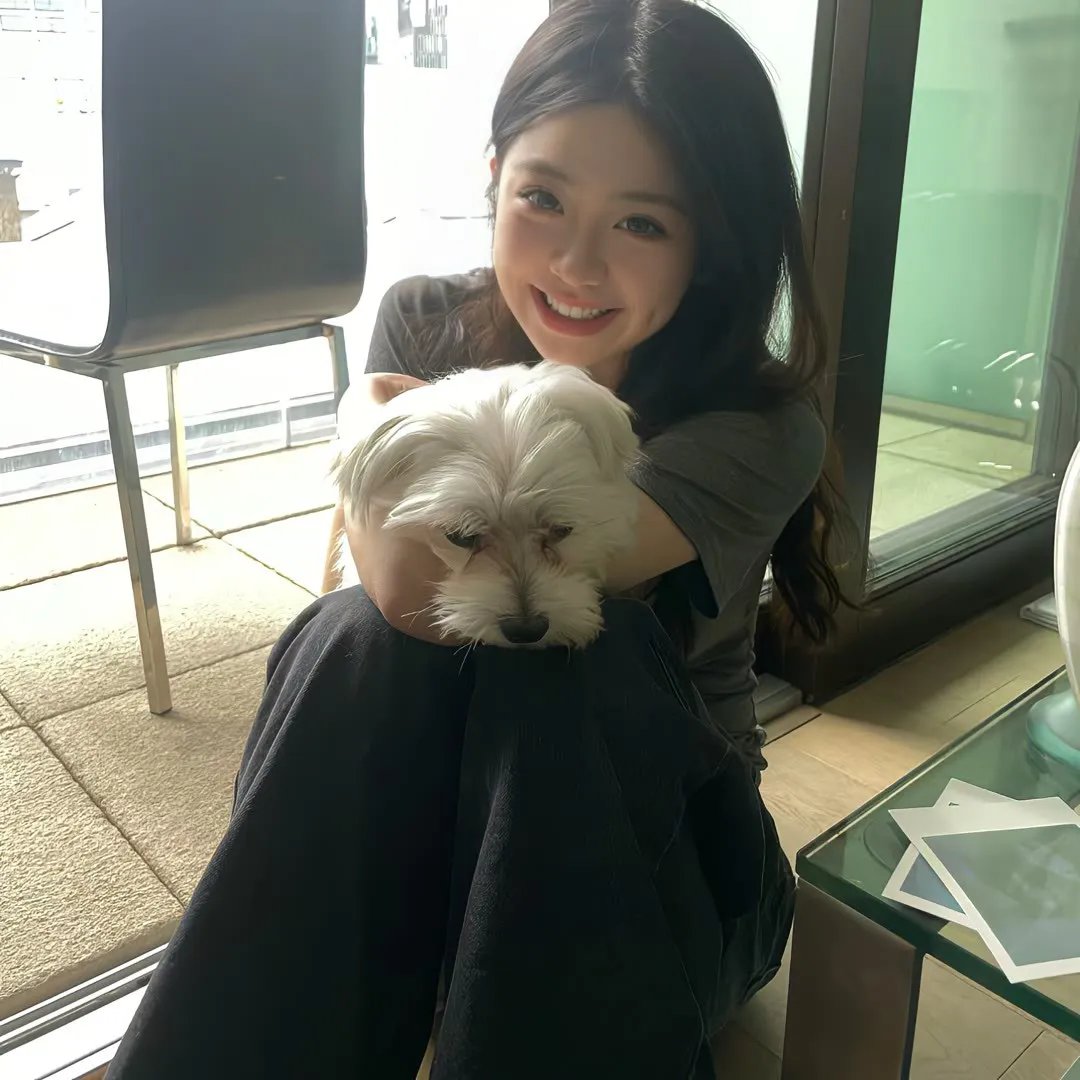 危鸡总动员